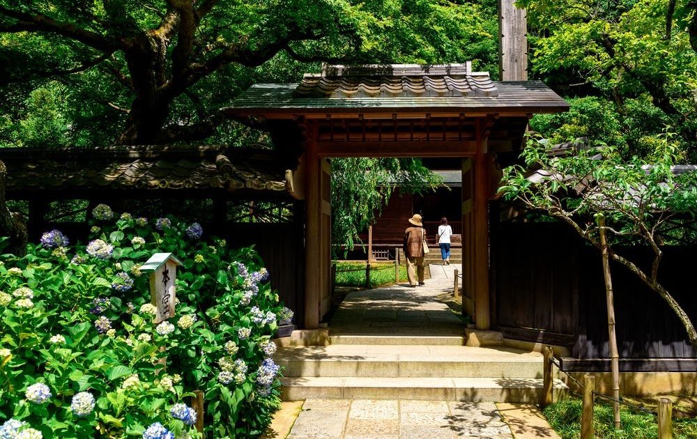 🏛️ 인연을 끊는 절 만토쿠지 자료관(엔키리데라 만토쿠지 시료칸) 이미지 3